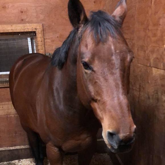 Meet your Posher, Brooke - Picture 1 of 1